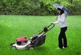Mow The Lawn In The Rain