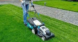 Mow After Overseeding My Lawn