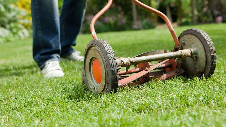 How To Cut Tall Grass With A Reel Mower Easily