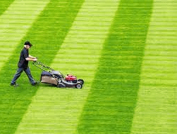 Time Can Mow Lawn On Sunday