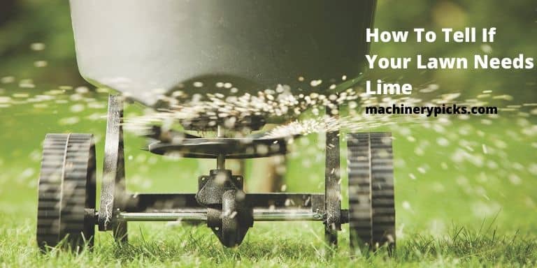How To Tell If Your Lawn Needs Lime