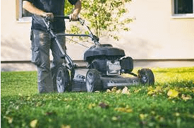 Mow Your Lawn With Leaves On It
