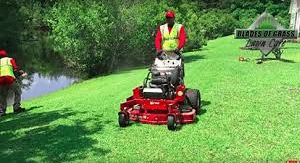 You Be Fined For Not Mowing Your Lawn