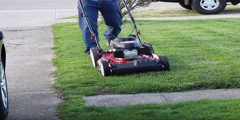 Troy Bilt TB210 Review And Buying Tips  | Updated Jan 2022