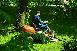 I Mow My Lawn On Saturday